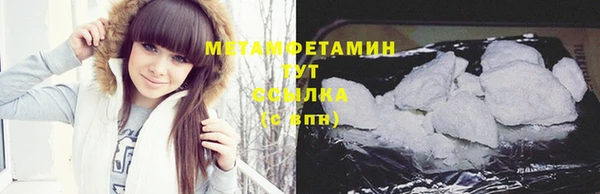 сатива Ростов