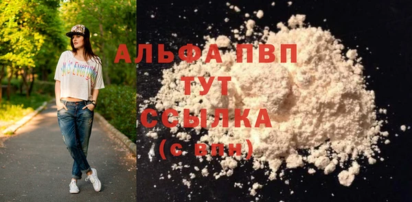 apvp Рославль