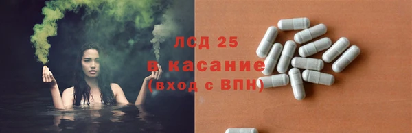 apvp Рославль