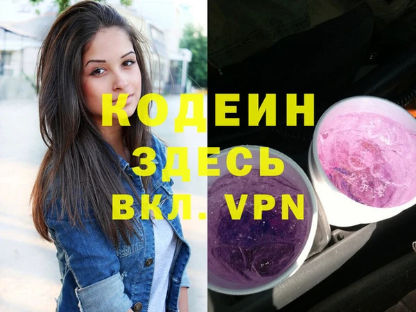 сатива Ростов