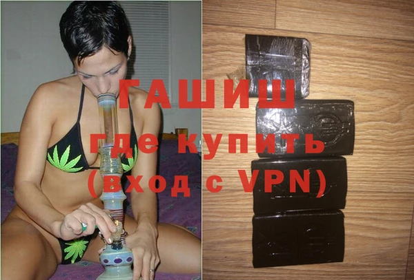 сатива Ростов