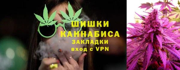 сатива Ростов