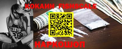 spice Камышлов