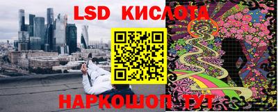 ГАЛЛЮЦИНОГЕННЫЕ ГРИБЫ Канаш