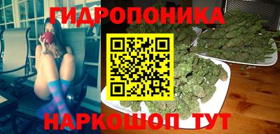 спиды Кимры