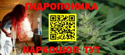 крисы Будённовск