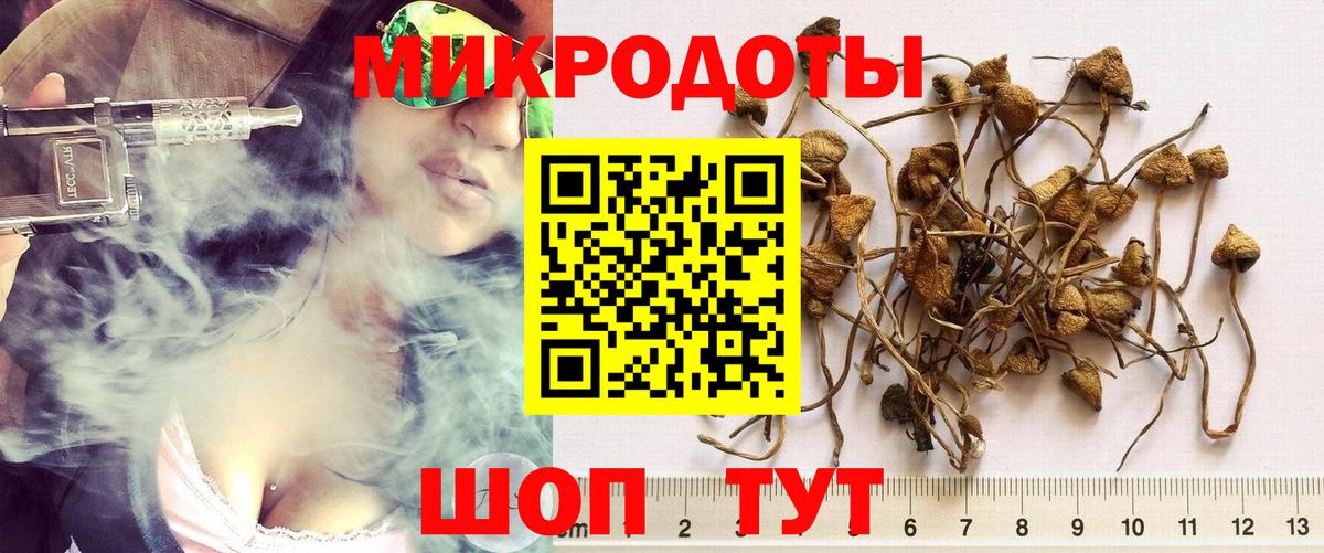 Галлюциногенные грибы Psilocybine cubensis  Вход с VPN  Рубцовск  Псилоцибиновые грибы мухоморы 