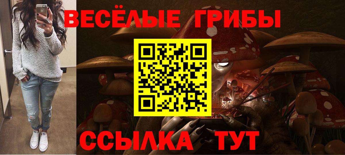 Псилоцибиновые грибы Psilocybe Рубцовск