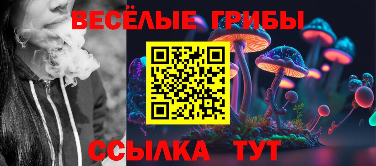 Псилоцибиновые грибы прущие грибы Рубцовск